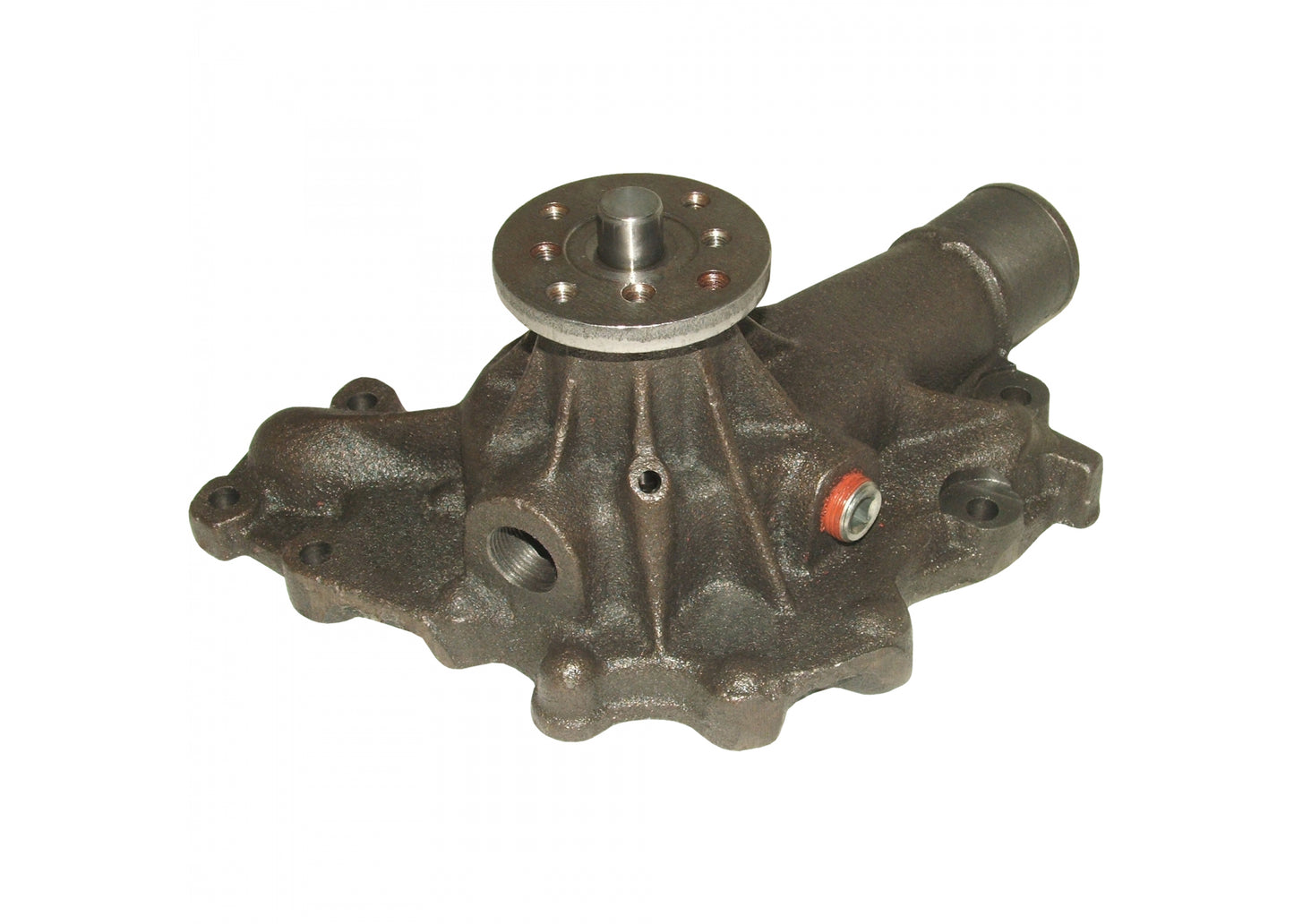 252-717 Professional Series Water Pump New