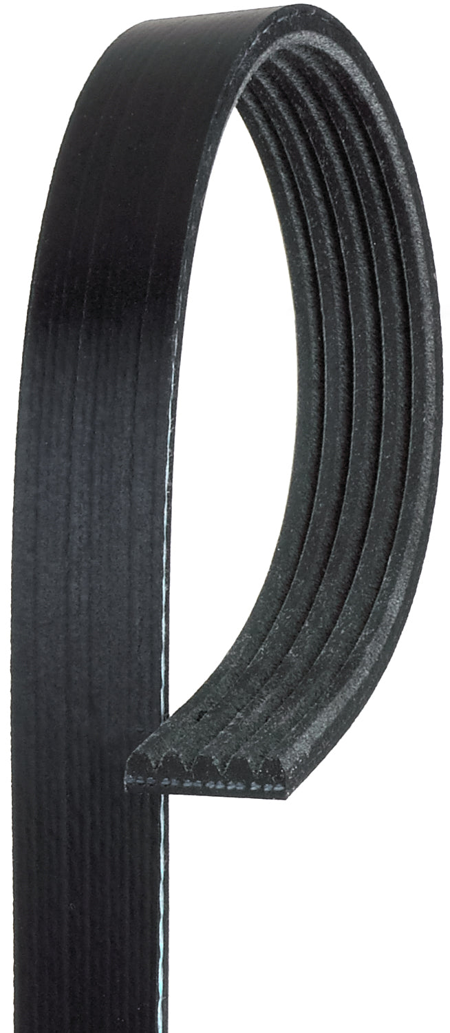 5K345 Professional Series Serpentine Belt - Direct Fit, Sold individually