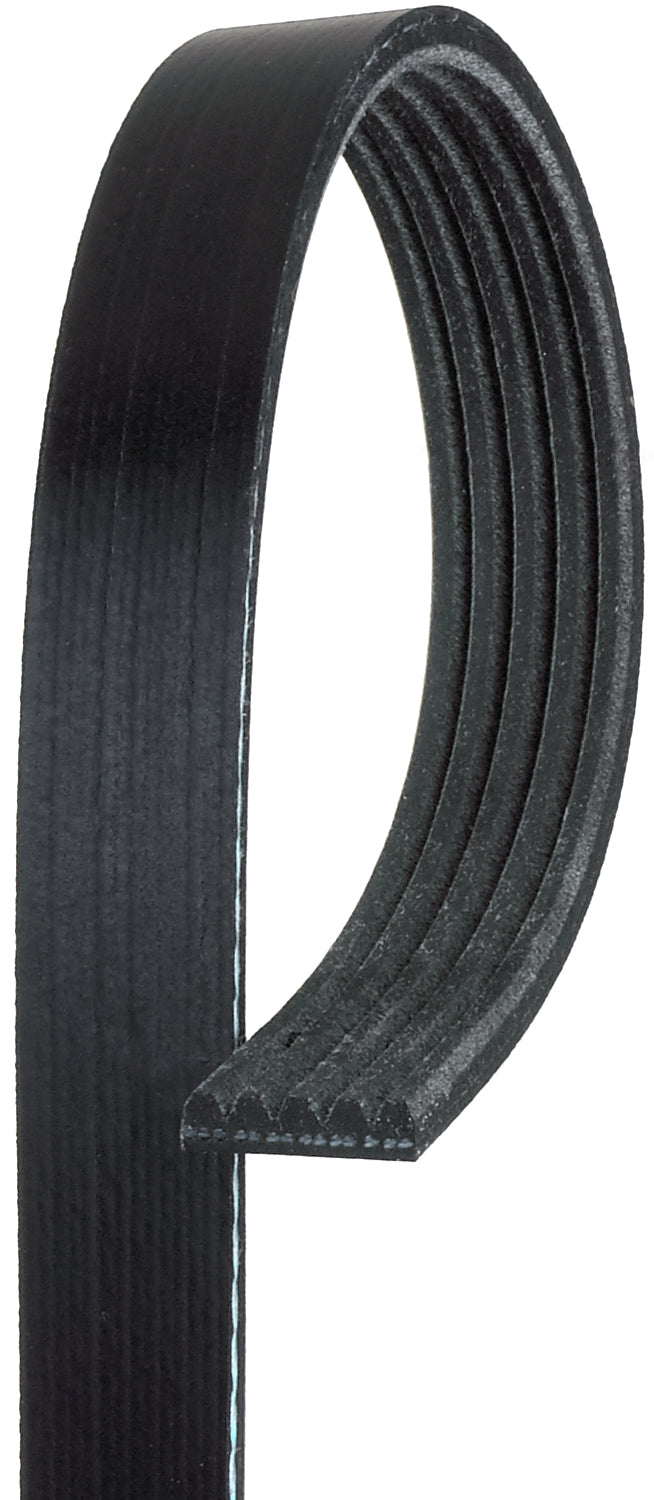 5K635 Professional Series Serpentine Belt - Direct Fit, Sold individually