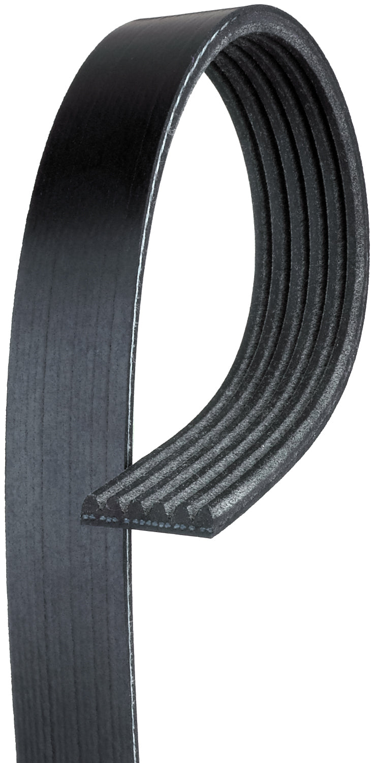 6K876 Professional Series Serpentine Belt - Direct Fit, Sold individually