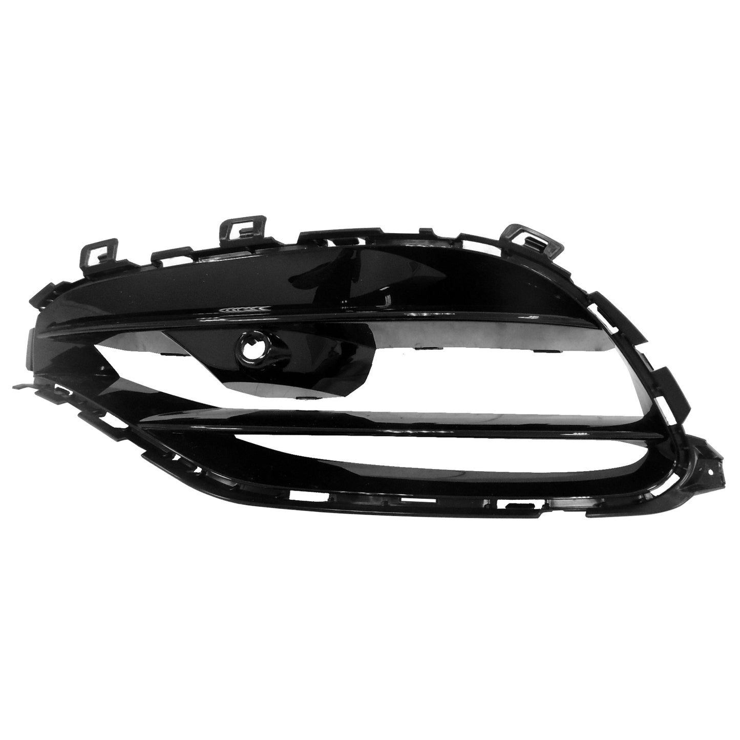 Front, Driver Side Bumper Grille