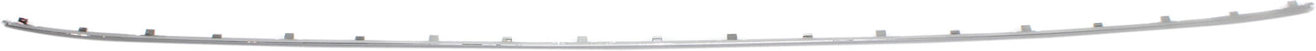 Rear, Center Bumper Trim, Chrome, Center Bumper Molding