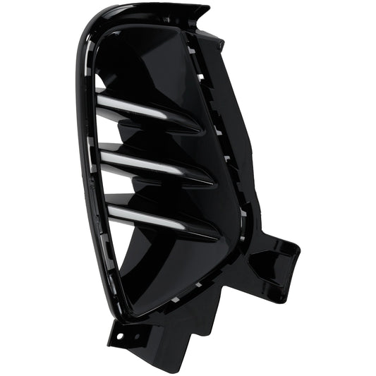 Front, Driver Side Fog Light Trim, Black, EX/LX/LXS Models