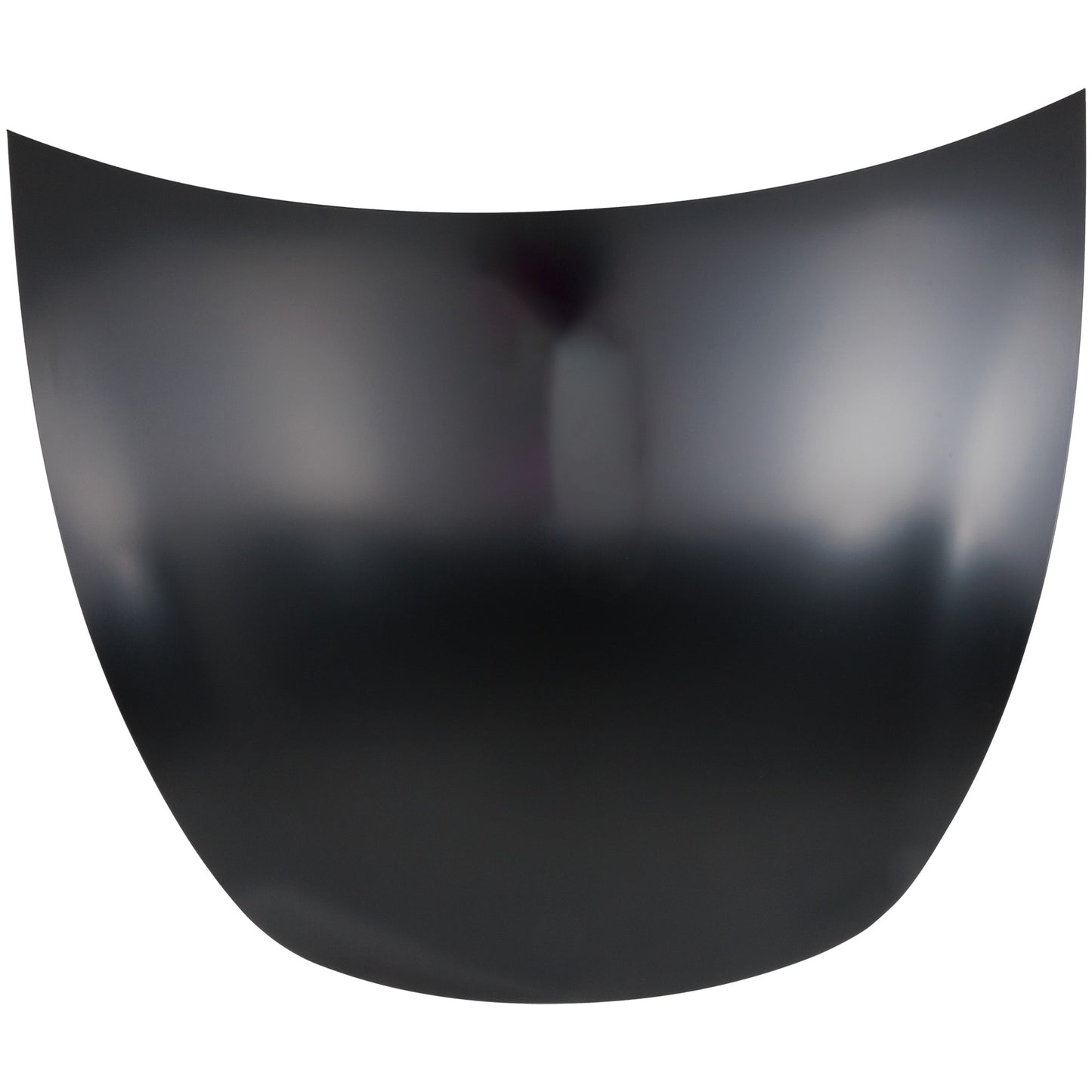 Hood, Carbon Fiber, Steel