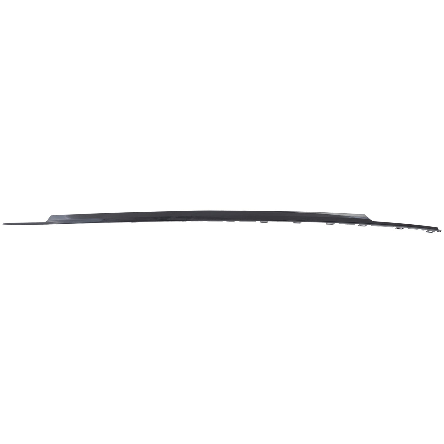 Rear, Center Bumper Trim