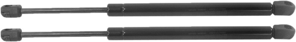 Driver and Passenger Side Liftgate Lift Support