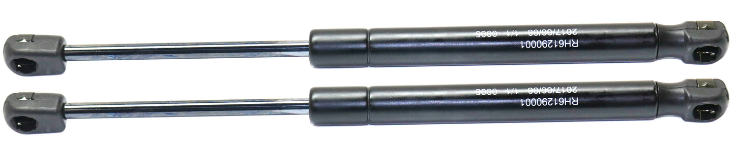 Driver and Passenger Side Trunk Lid Lift Support