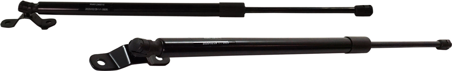 Driver and Passenger Side Liftgate Lift Support, Sport Utility, For Models Without Power Liftgate