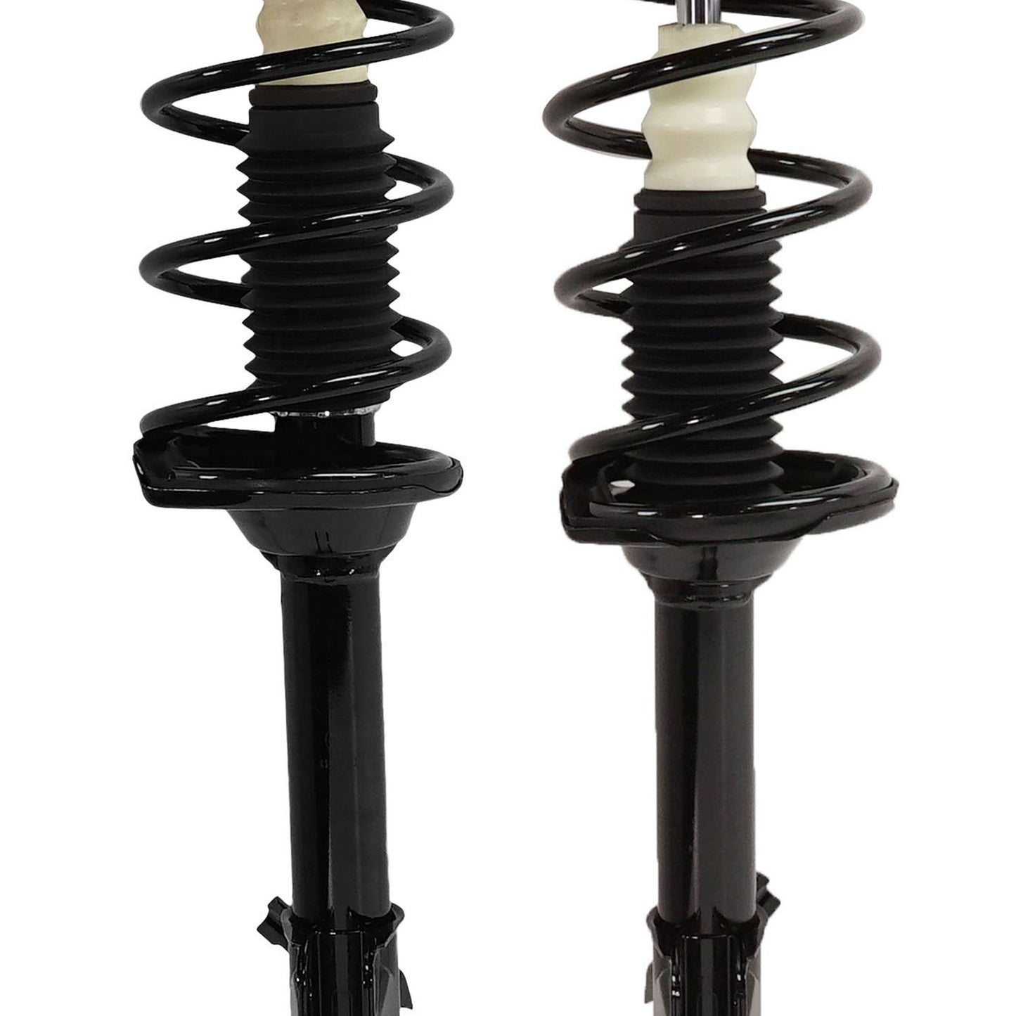 Rear, Driver and Passenger Side Fully Loaded Strut, Sedan