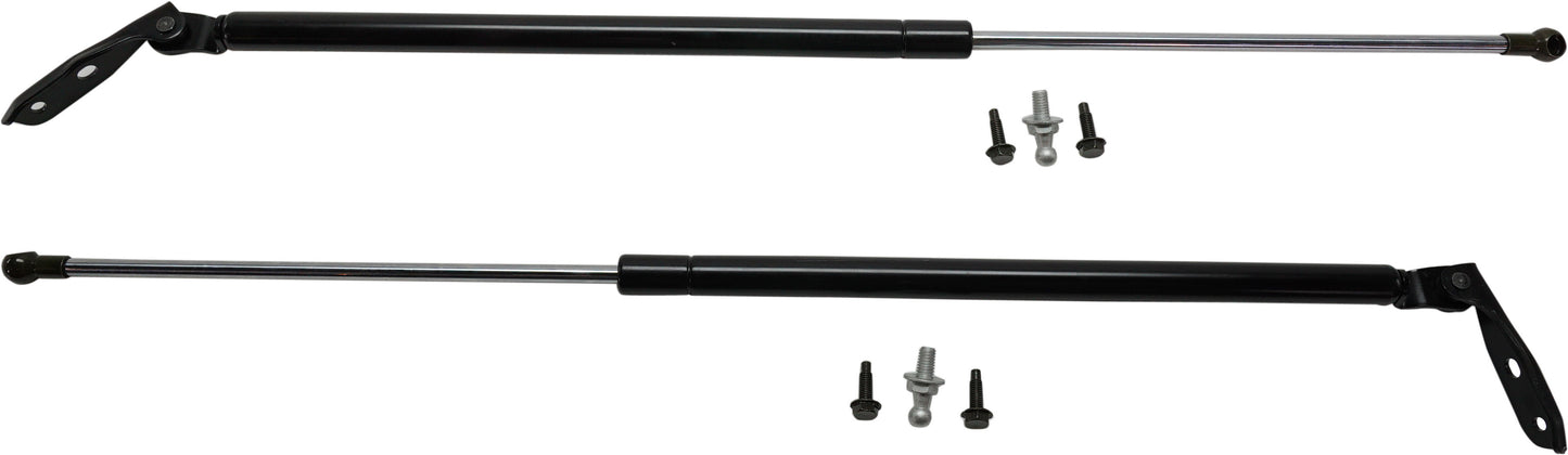 Driver and Passenger Side Liftgate Lift Support