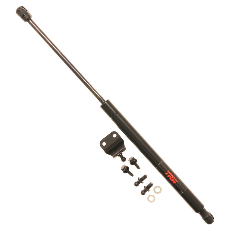 TSG325022 Driver or Passenger Side Liftgate