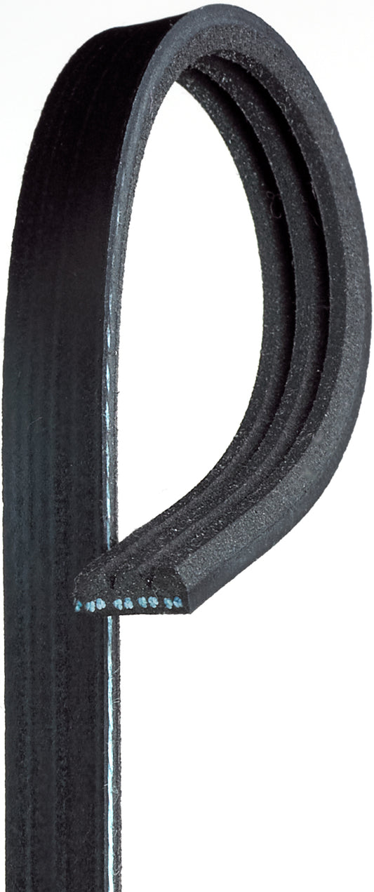3K310 Professional Series Serpentine Belt - Direct Fit, Sold individually