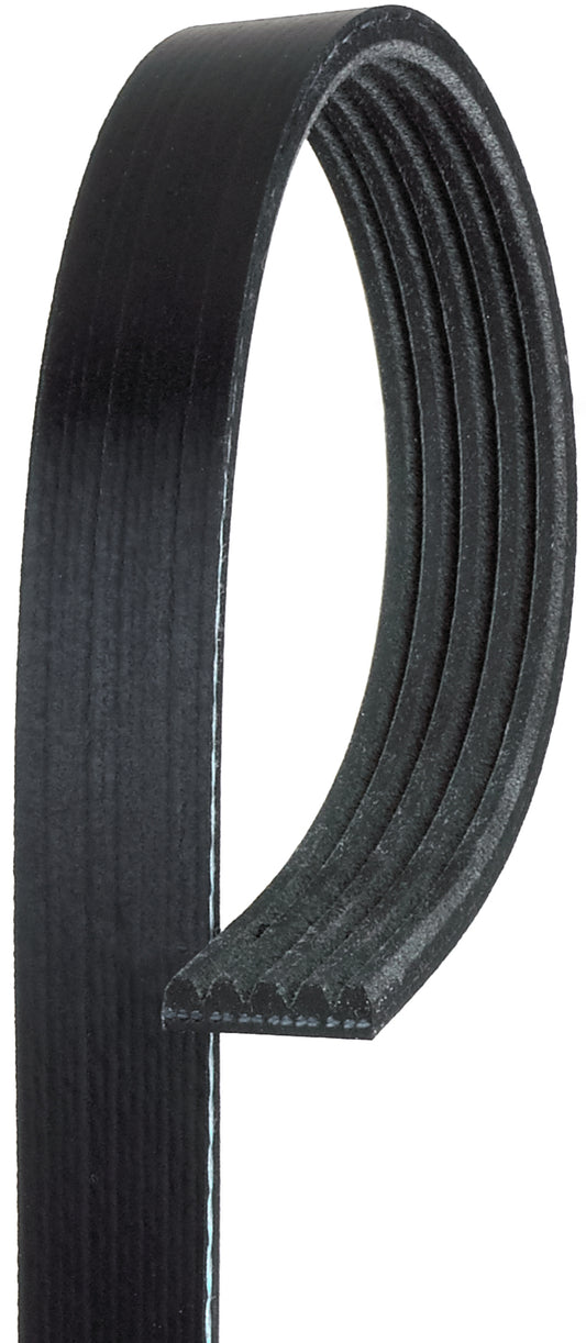 5K345 Professional Series Serpentine Belt - Direct Fit, Sold individually