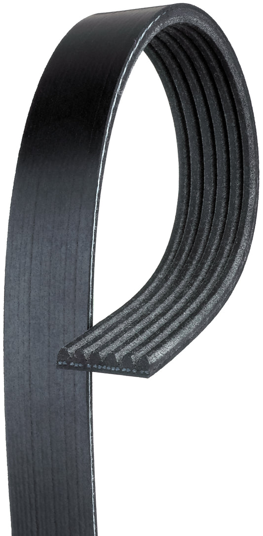 6K882 Professional Series Serpentine Belt - Direct Fit, Sold individually