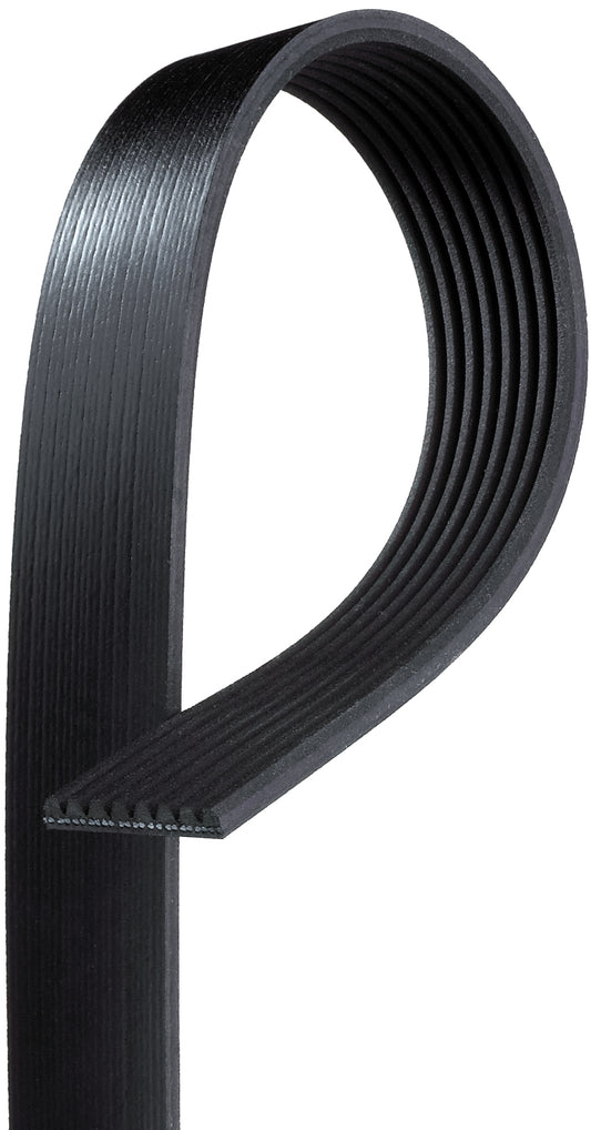 8K816 OE Replacement Series Serpentine Belt - Direct Fit, Sold individually