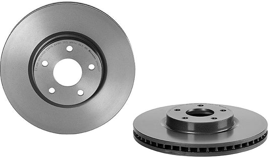 09.N255.21 Front Brake Disc, Plain Surface, Vented, 5 Lugs, 300 mm, Premium UV Coated Series