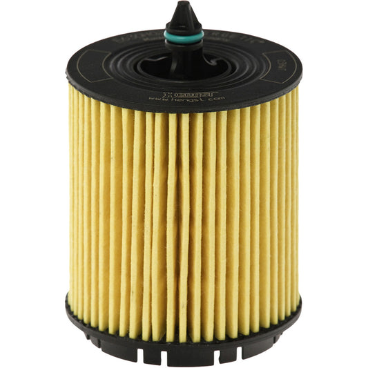 E630H02 D103 Engine Oil Filter Kit - Hengst 12605566