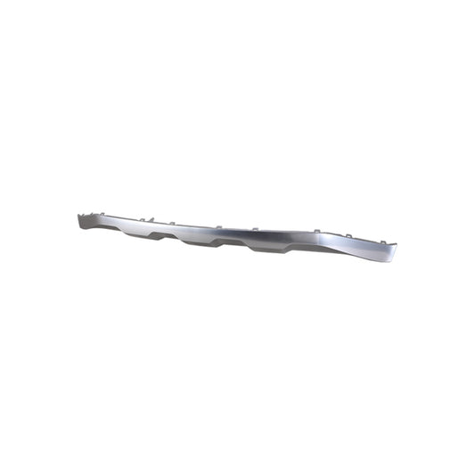 Rear, Center Bumper Trim, Chrome