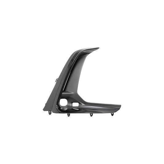 Fog Light Trim, Painted Black