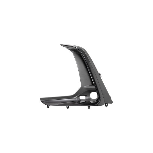 Fog Light Trim, Painted Black