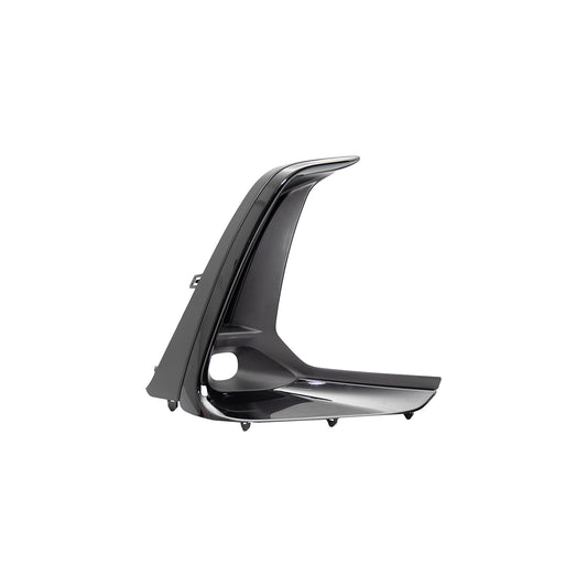 Fog Light Trim, Painted Black