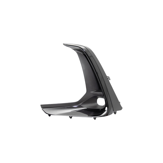 Fog Light Trim, Painted Black