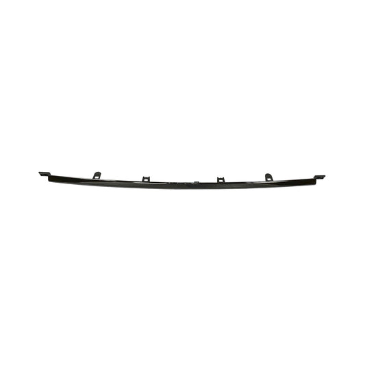 Rear, Lower Bumper Trim