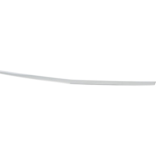 Hood Molding, Chrome