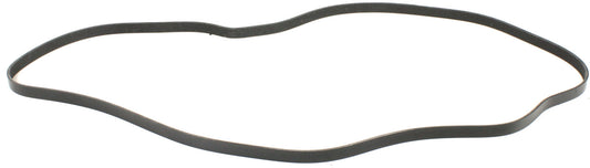 Main Drive Serpentine belt