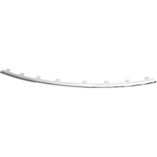 Hood Molding, Silver