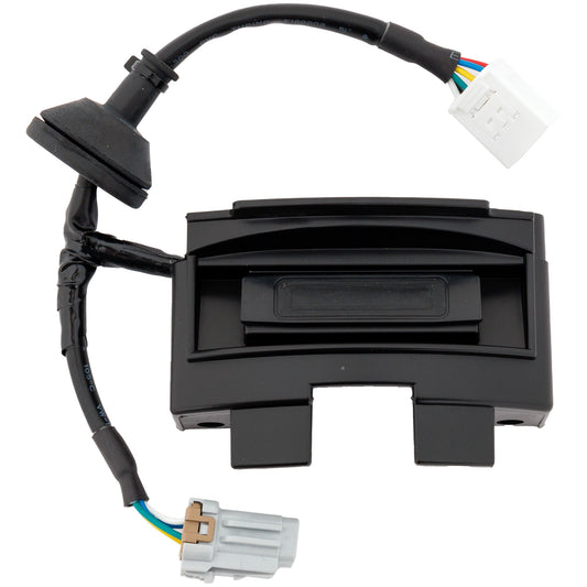 Tailgate Handle, Smooth Black, Plastic, For Models with Rear View Camera