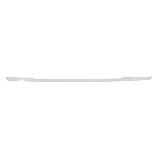 Rear, Center Bumper Trim, Chrome