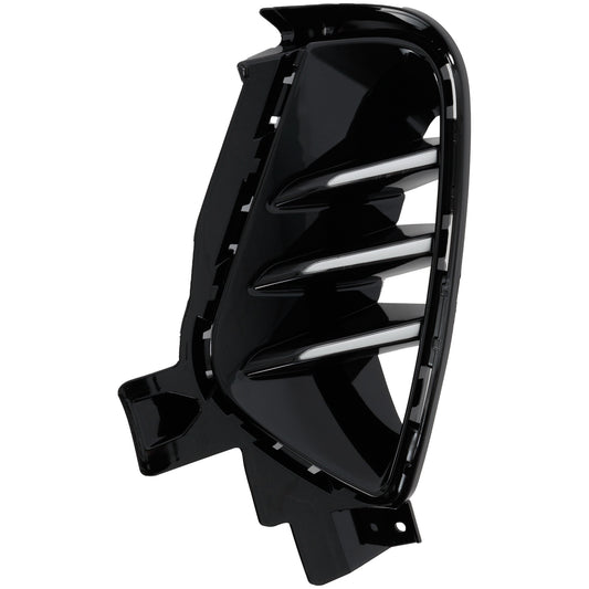 Front, Passenger Side Fog Light Trim, Black, EX/LX/LXS Models