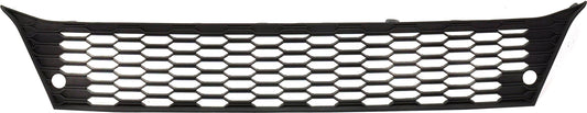 Front, Lower Bumper Grille, Textured Black