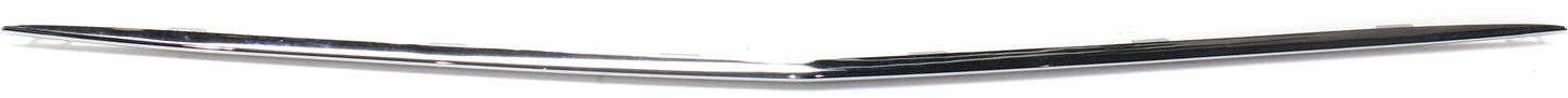 Center, Lower Grille Trim, Bumper Grille Trim, Sedan/Wagon, For Models With Luxury Package