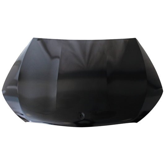 Hood, Aluminum, Primed, 254 Body