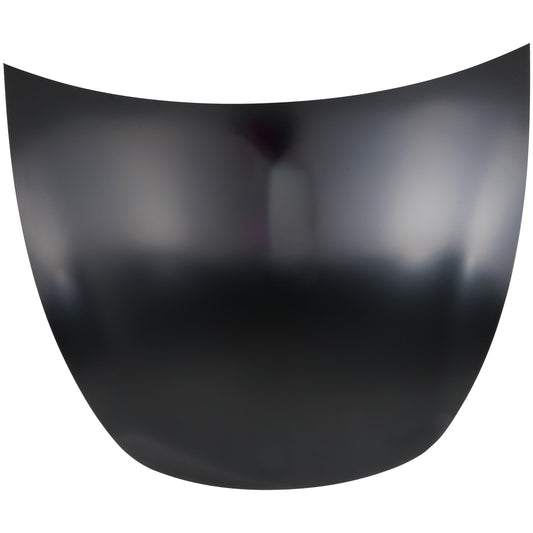 Hood, Carbon Fiber, Steel