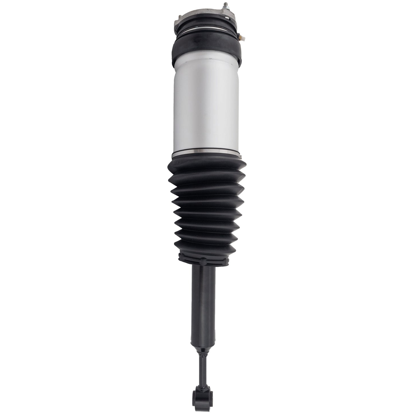 Rear, Driver or Passenger Side Air Strut