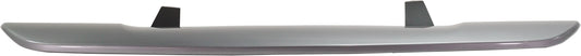 Rear Valance, Bumper Guard, Painted Silver