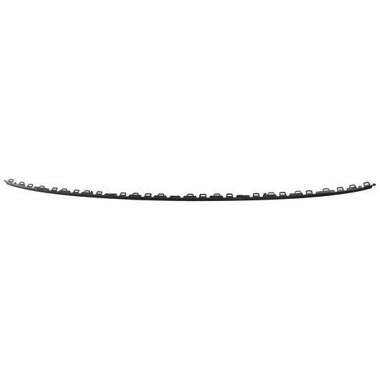 Rear, Center Bumper Trim