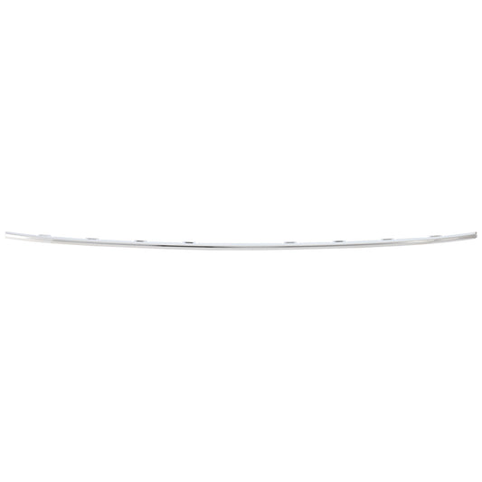 Rear, Center Bumper Trim