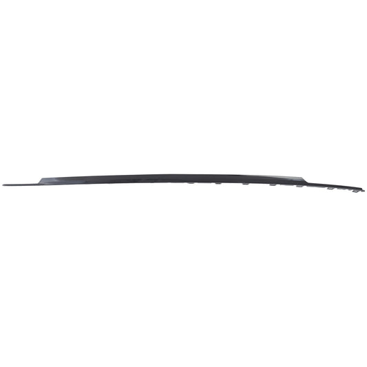 Rear, Center Bumper Trim