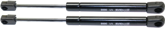 Driver and Passenger Side Lift Support, Coupe/Convertible