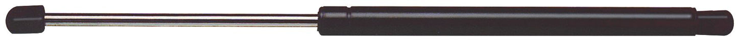4592 Liftgate (Driver or Passenger Side) Liftgate, Sport Utility