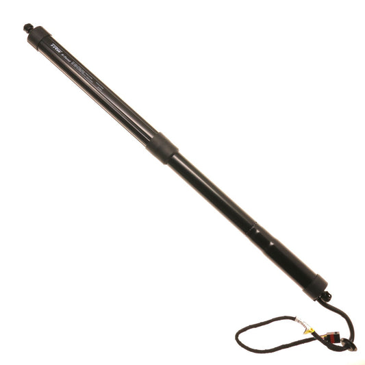 TSG367085 Driver or Passenger Side Tailgate